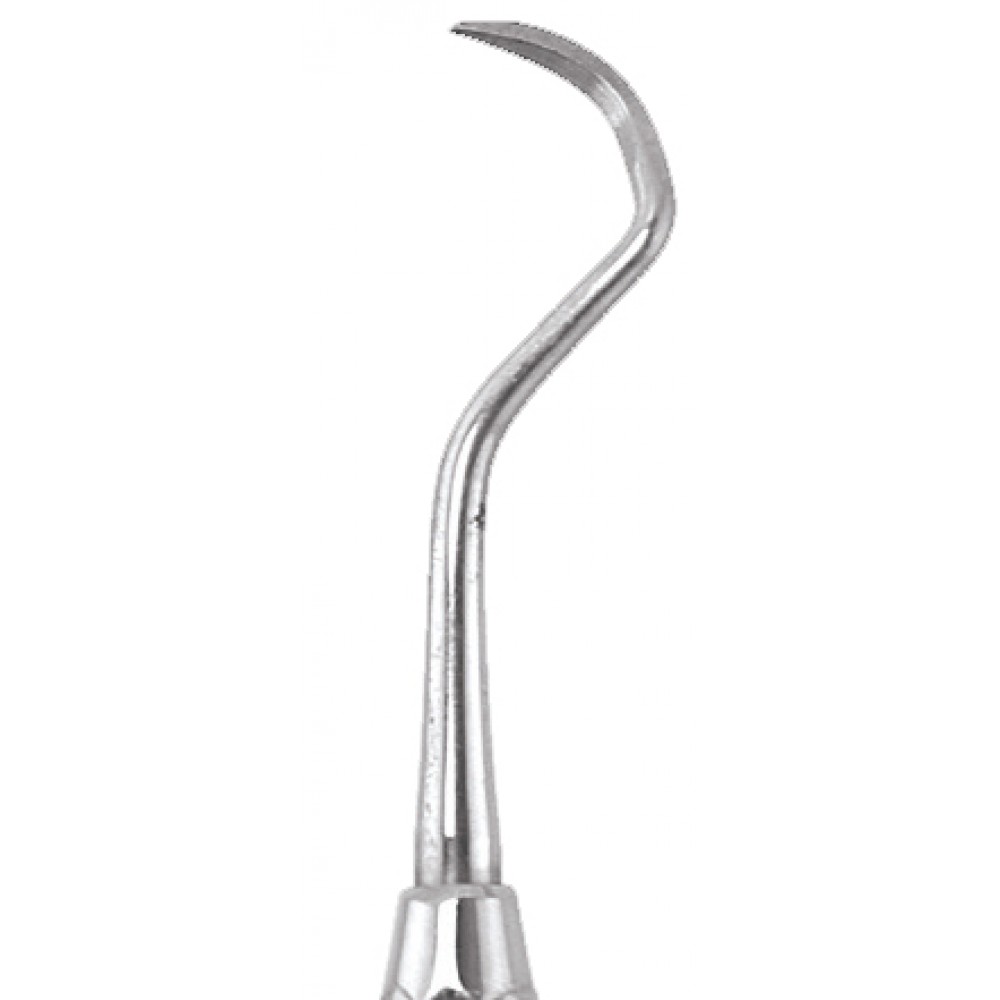 Buy Sickle Scaler Posterior S129 Handle No 6 GDC Online at